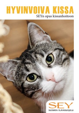 Hyvinvoiva kissa -opas