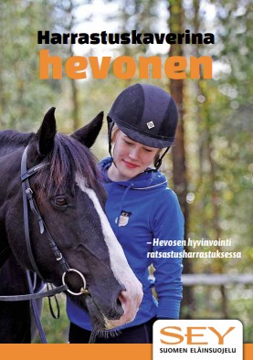Harrastuskaverina hevonen